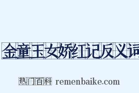 金童玉女娇红记反义词是什么意思的图片